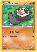 Pancham XY - BREAKpoint 71/122