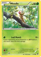 Weedle XY Base Set 3/146